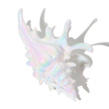 Mermaid Pearlescent White Conch Hair Claw Clips