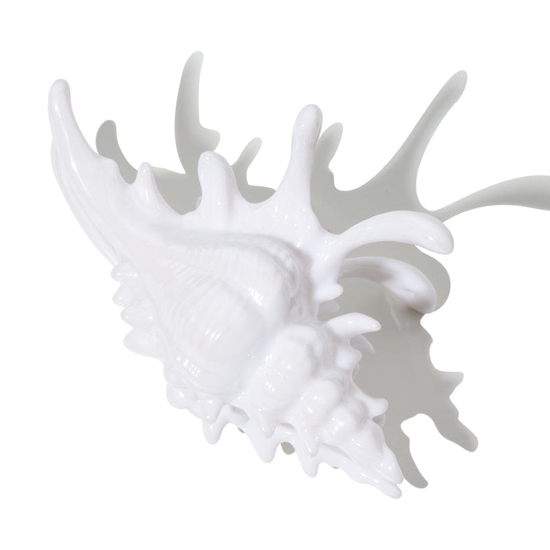 3D Printed White Conch Hair Claw Clips
