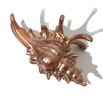 New Process Coffee Conch Hair Claw Clips